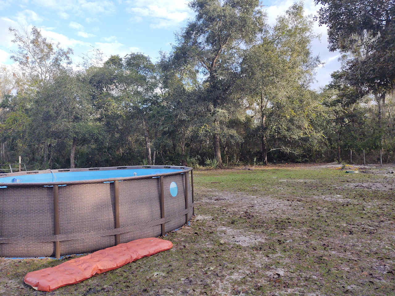 Animal farm, Ocala National Forest