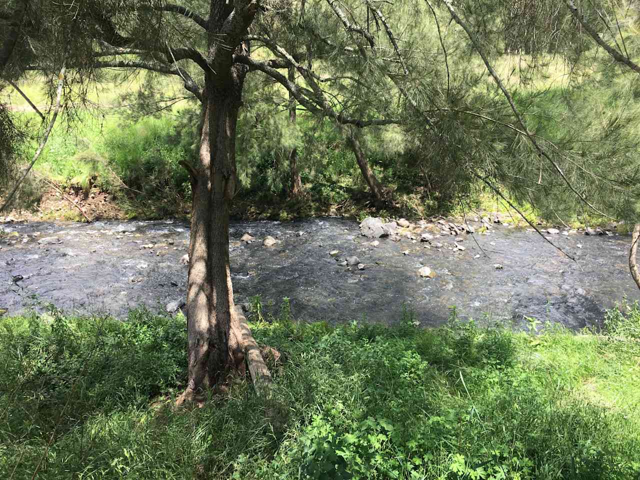 Barnard River Farm,Hanging Rock