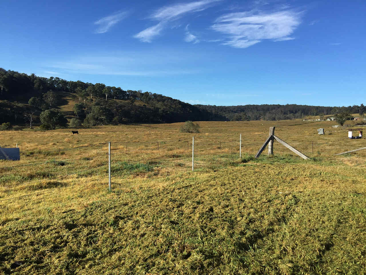 Red Hill Organics Farmstay