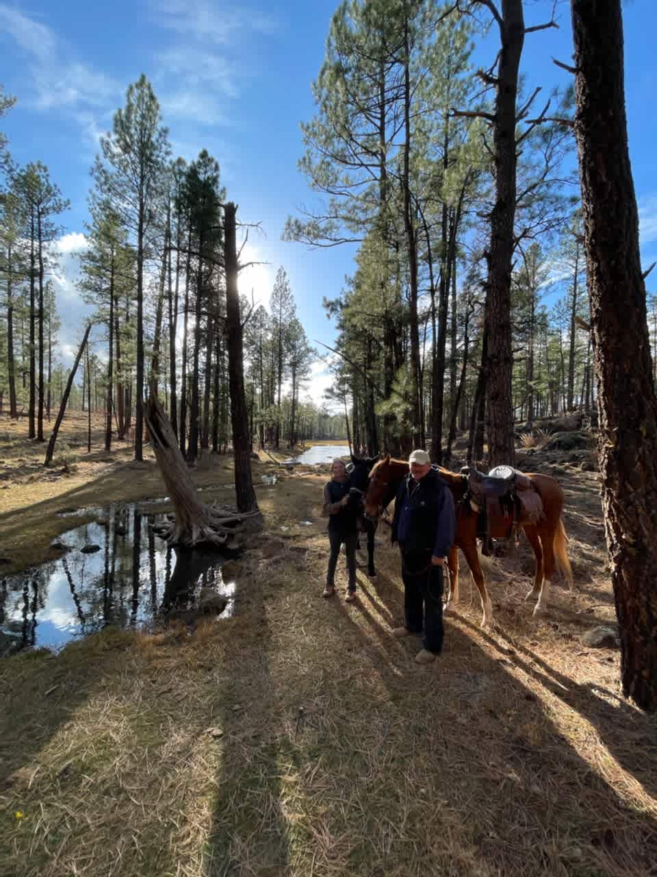 Horse Camping