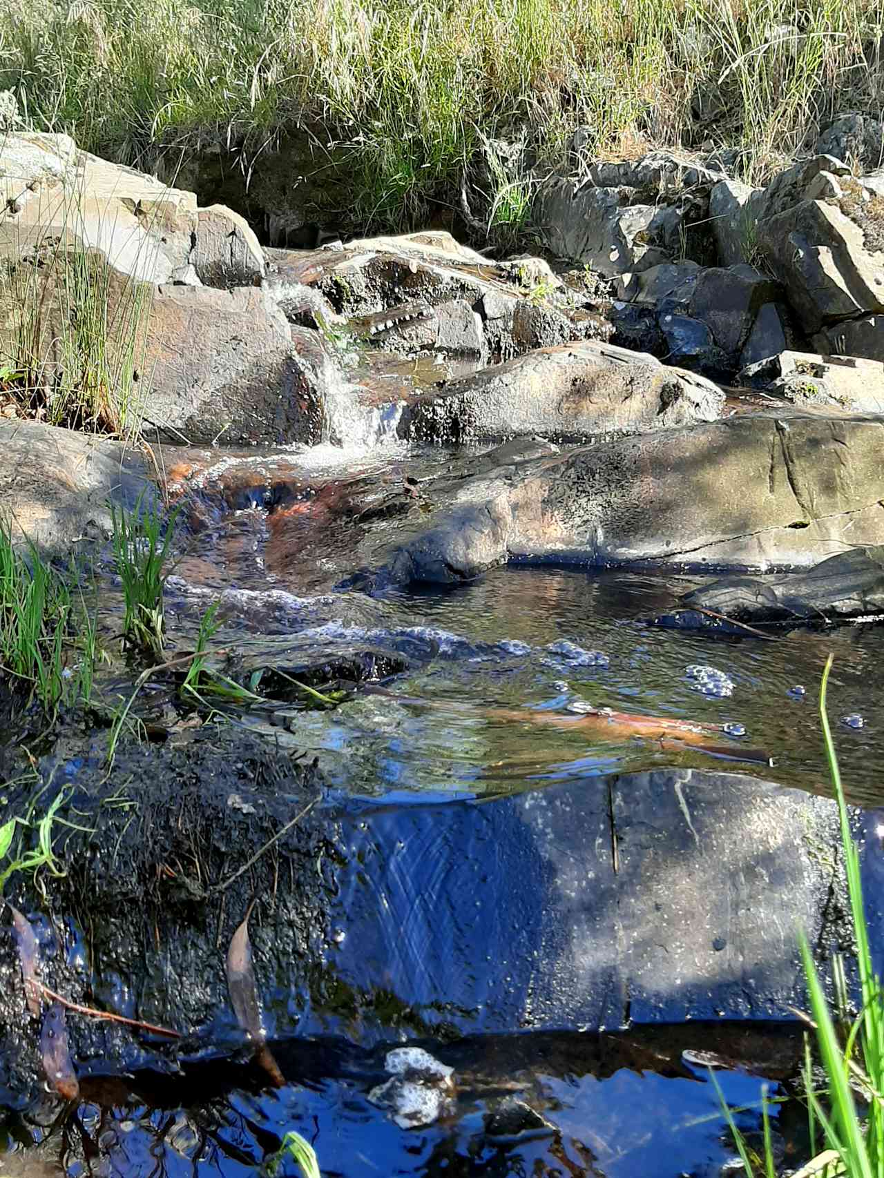 Cascades at creek near campsite.