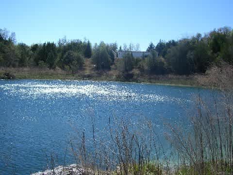 Cedar Canyon Quarry @ Ichetucknee