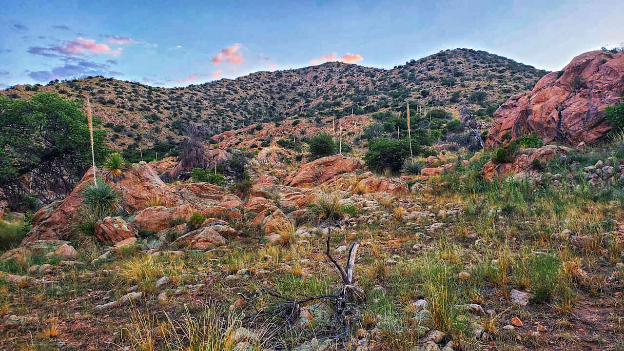 mountain trails up to the property 