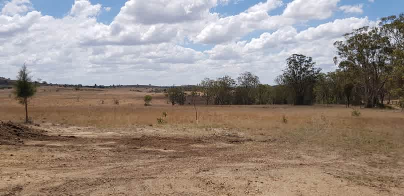 Ushinojo Cattle Farm