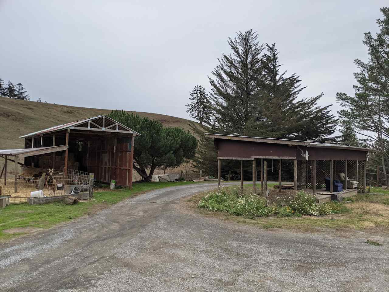 Hay barn and goat pen to left, trailer overhand to right