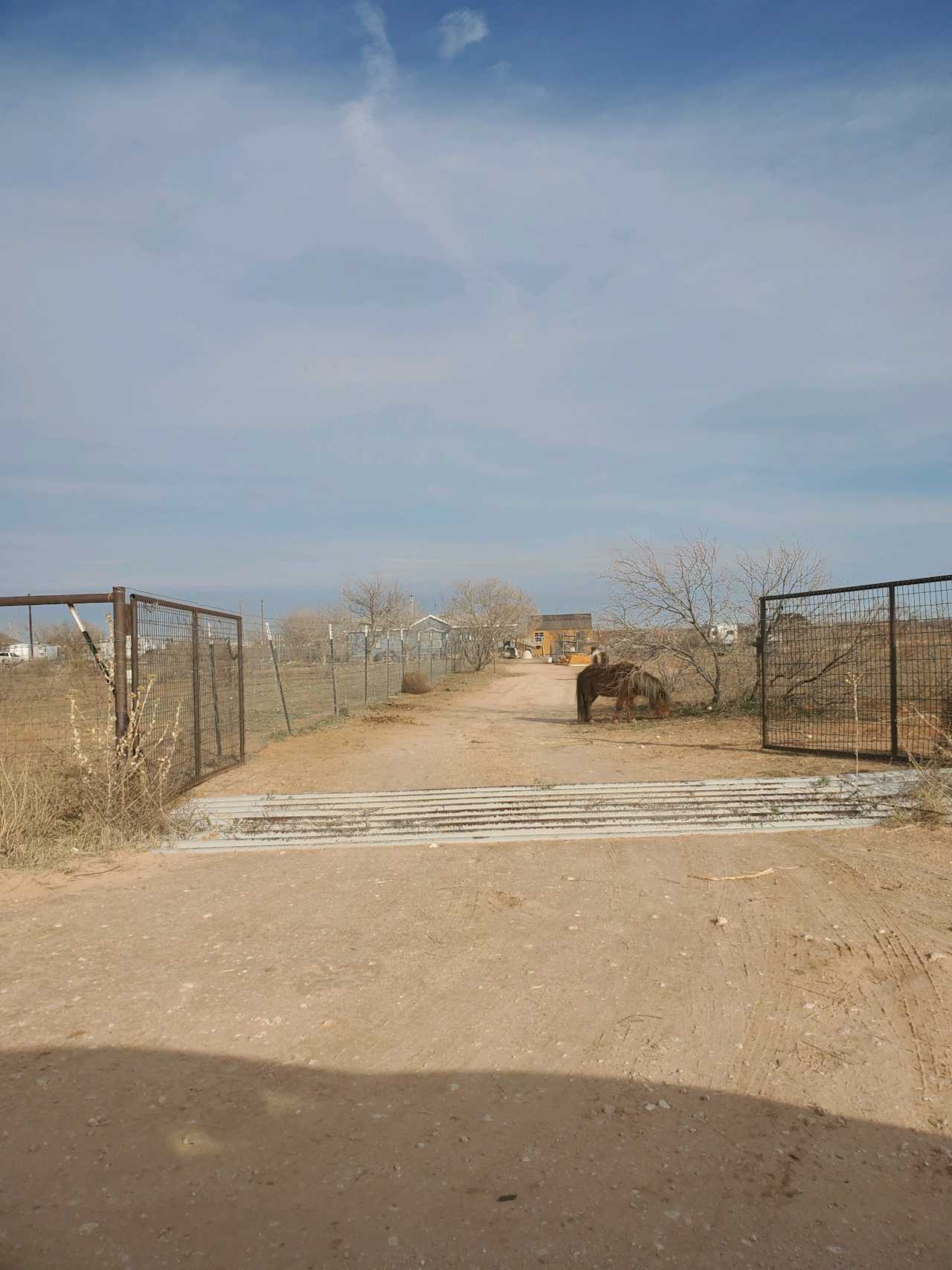 In the desert on a poultry farm.