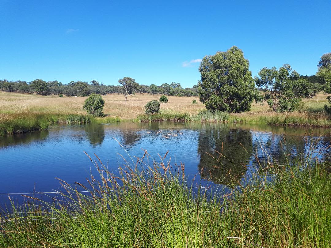 PEACEFUL RURAL PROPERTY SUTTON, NSW