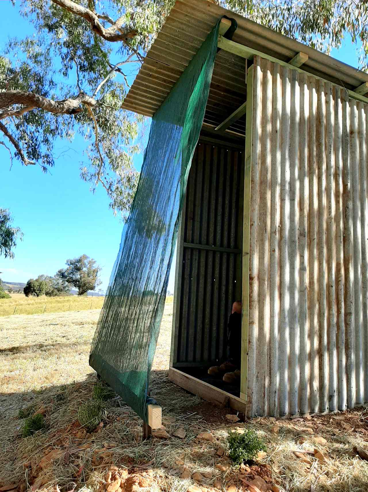 Loo with a view near creek campsite. We've planted some herbs around it so you can get creative in your camp kitchen with rosemary, sage, thyme, oregano and winter savoury.