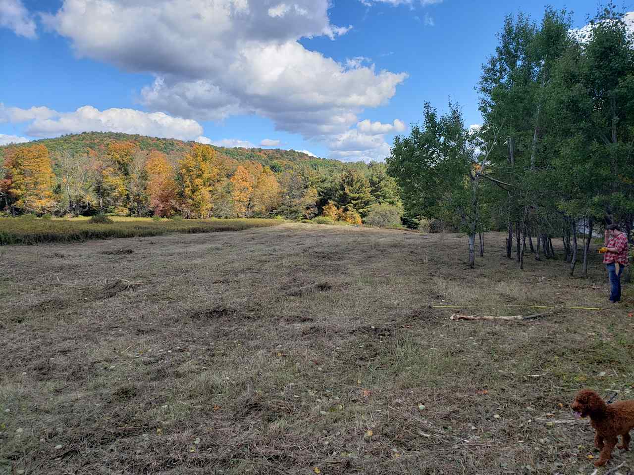 Kelsey Creek Field and Valley