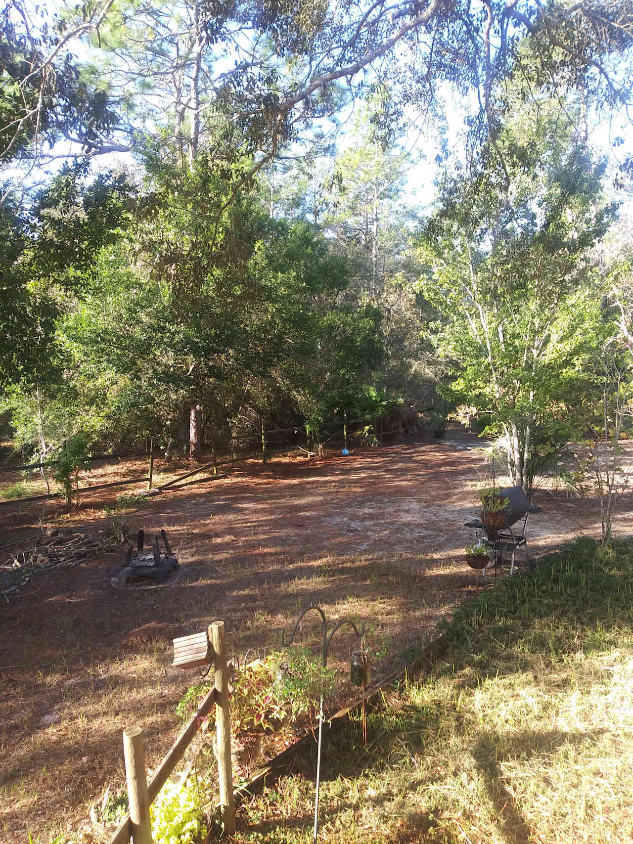 Live Oak RV site