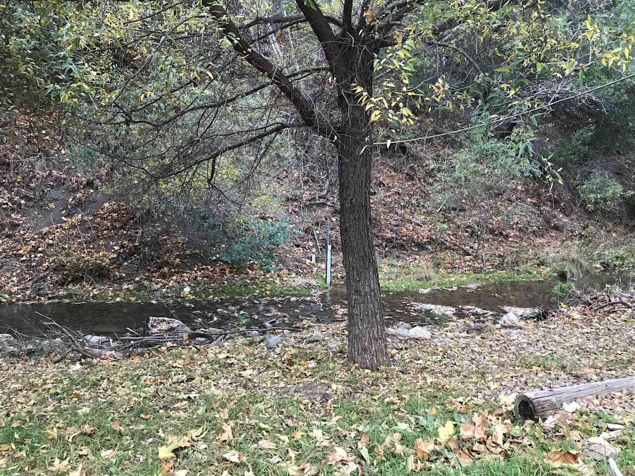 Nice tent spot under the tree next to the creek.