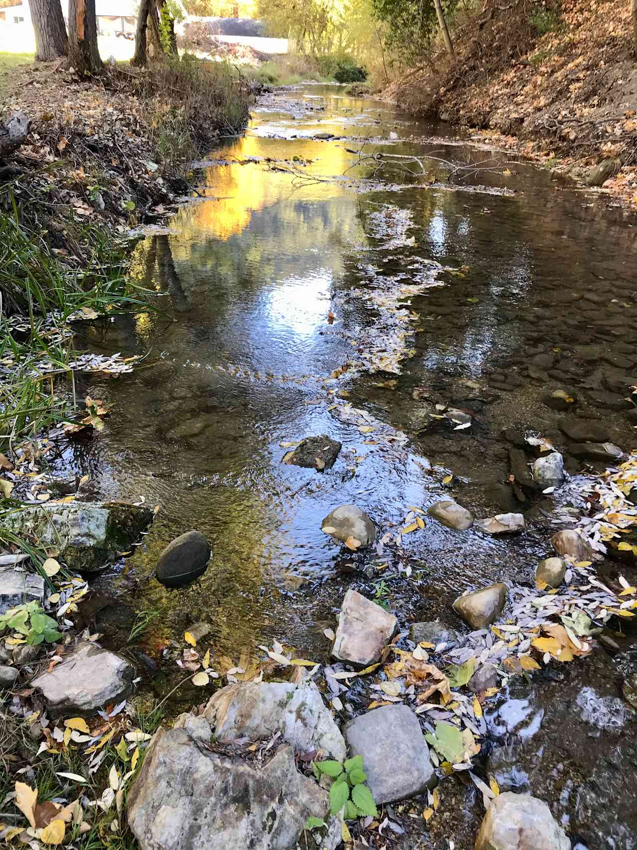 Beautiful year round creek.  Downstream view.