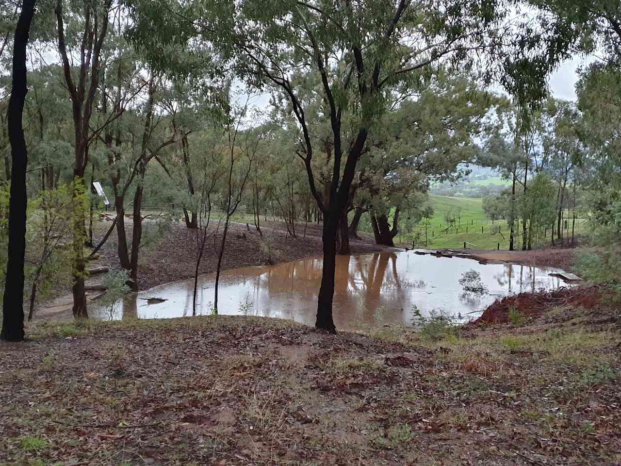 Molyullah Farm