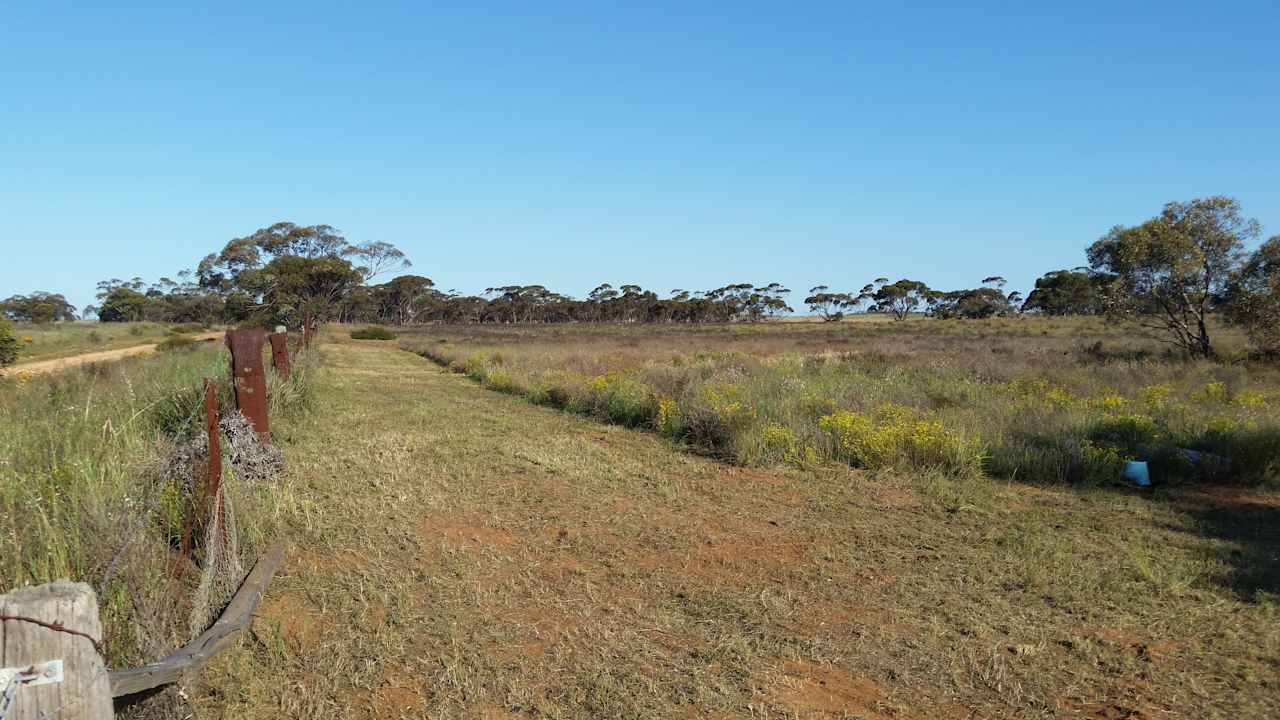 Mallee Farm Paddocks