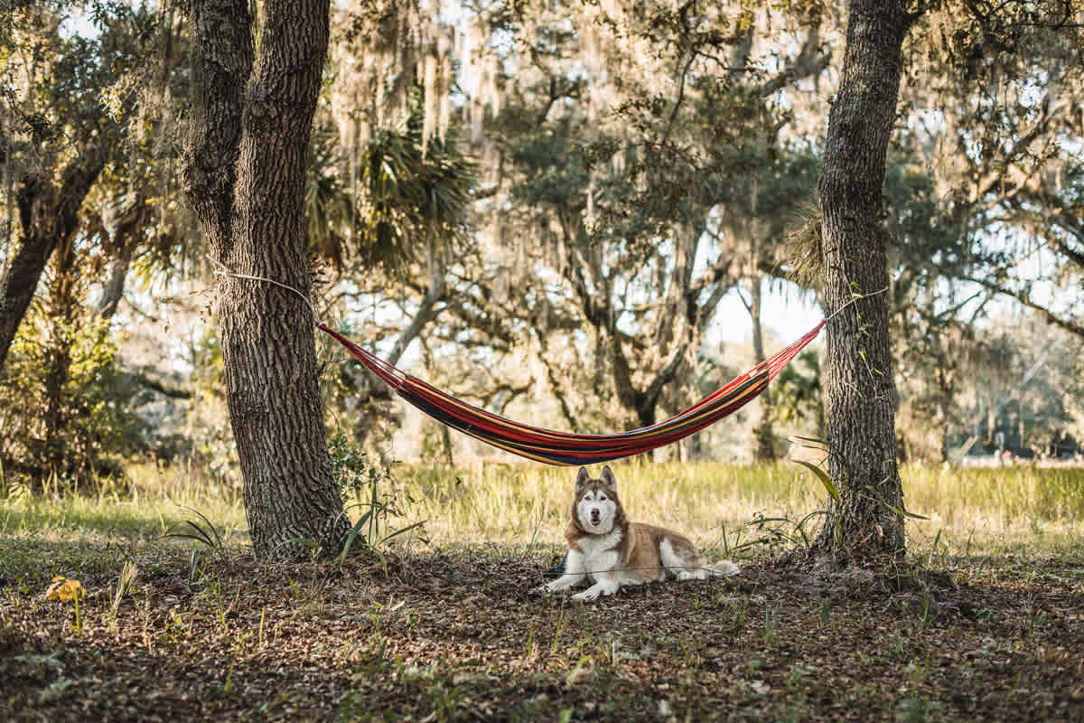 THE HIDEOUT