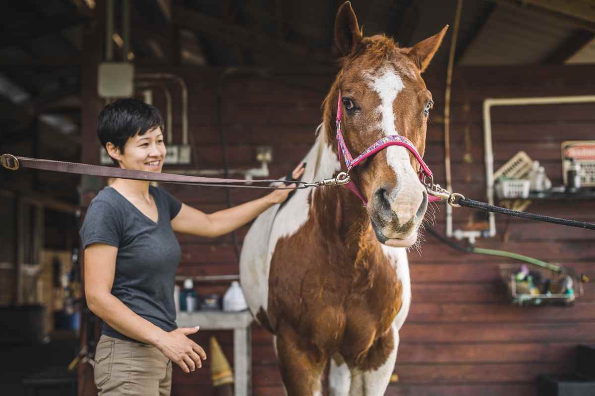 We got a chance to groom and ride this beautiful paint named Gunna