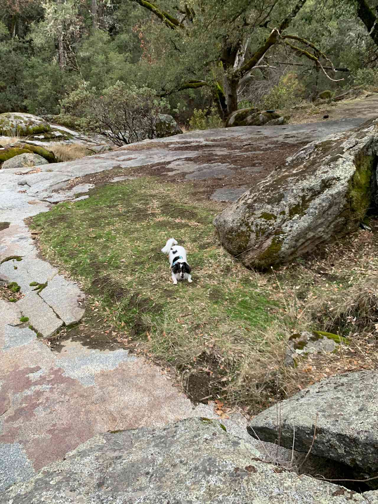 A cool spot our dog loved near the site