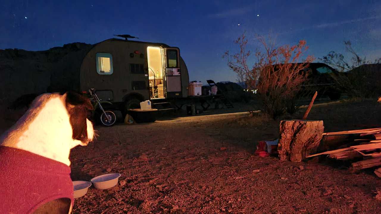 Mojave Moonlight Camping