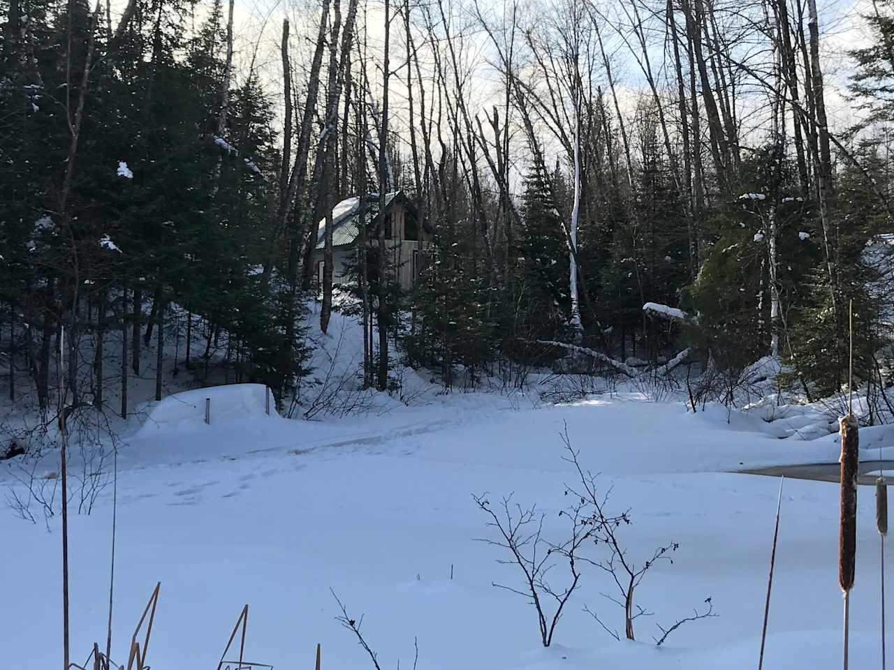 Pic taken in 2018 near that year's location of the beaver lodge.  Every year they keep upgrading and moving to bigger and better lodging! If you startle them, you'll hear a "Slap!" from their tail striking the water as they dive under.