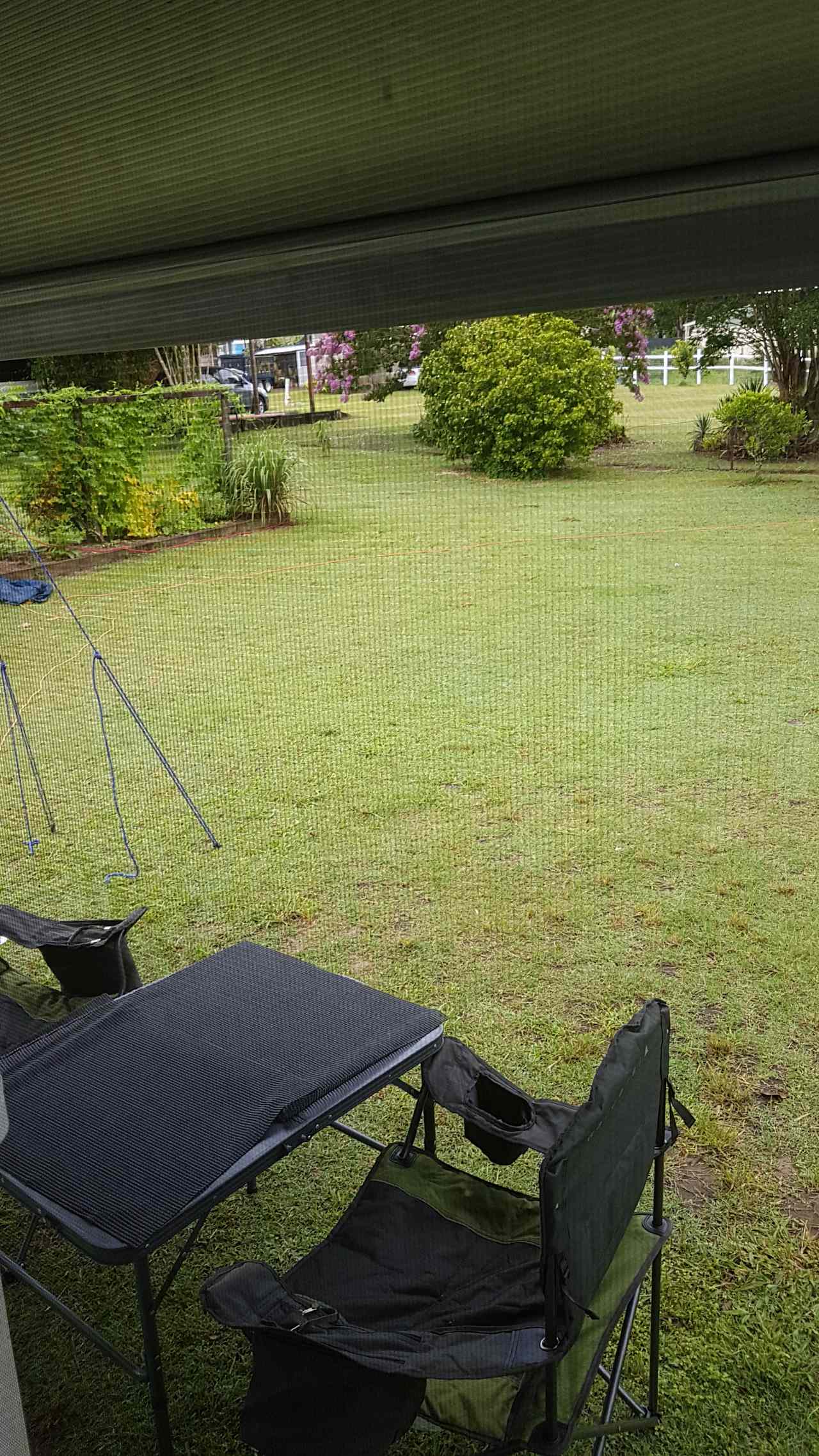 Looking toward the little veggie garden that kind of acts as a privacy wall at Mango Patch