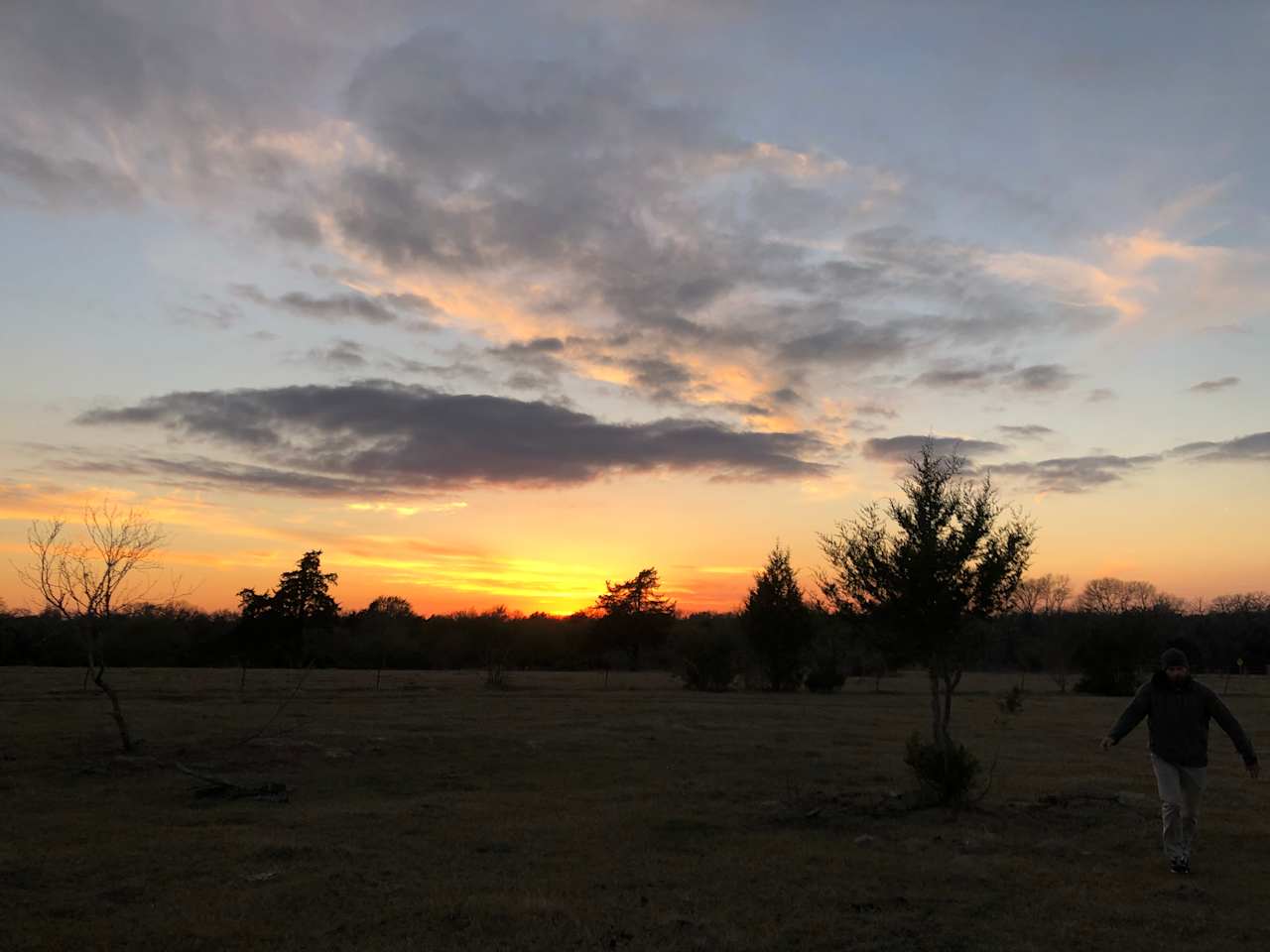 Sunset field