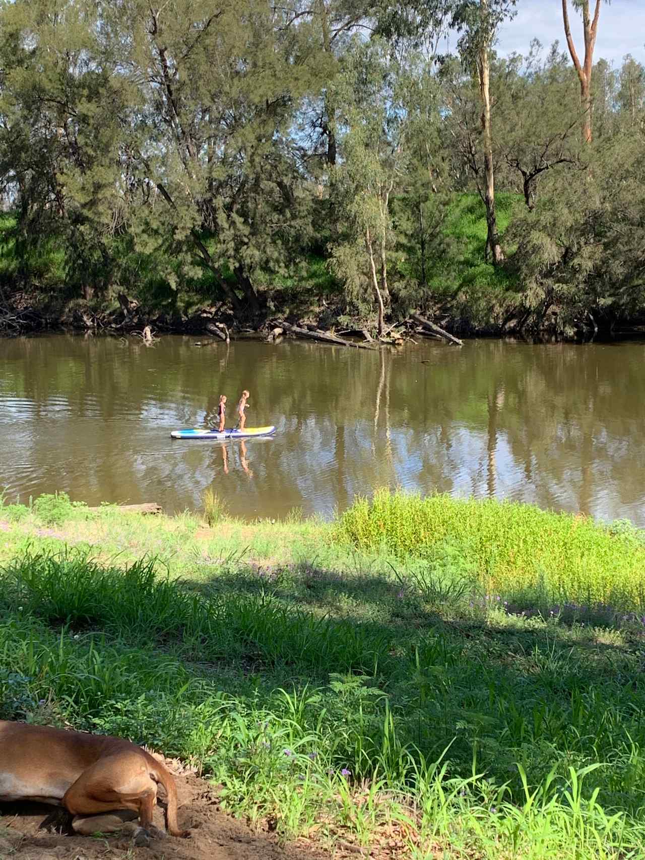 Bushland Hideaway on the River