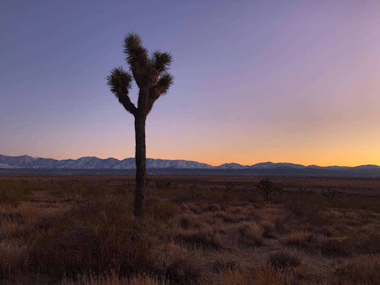 Antelope Valley Camp Site