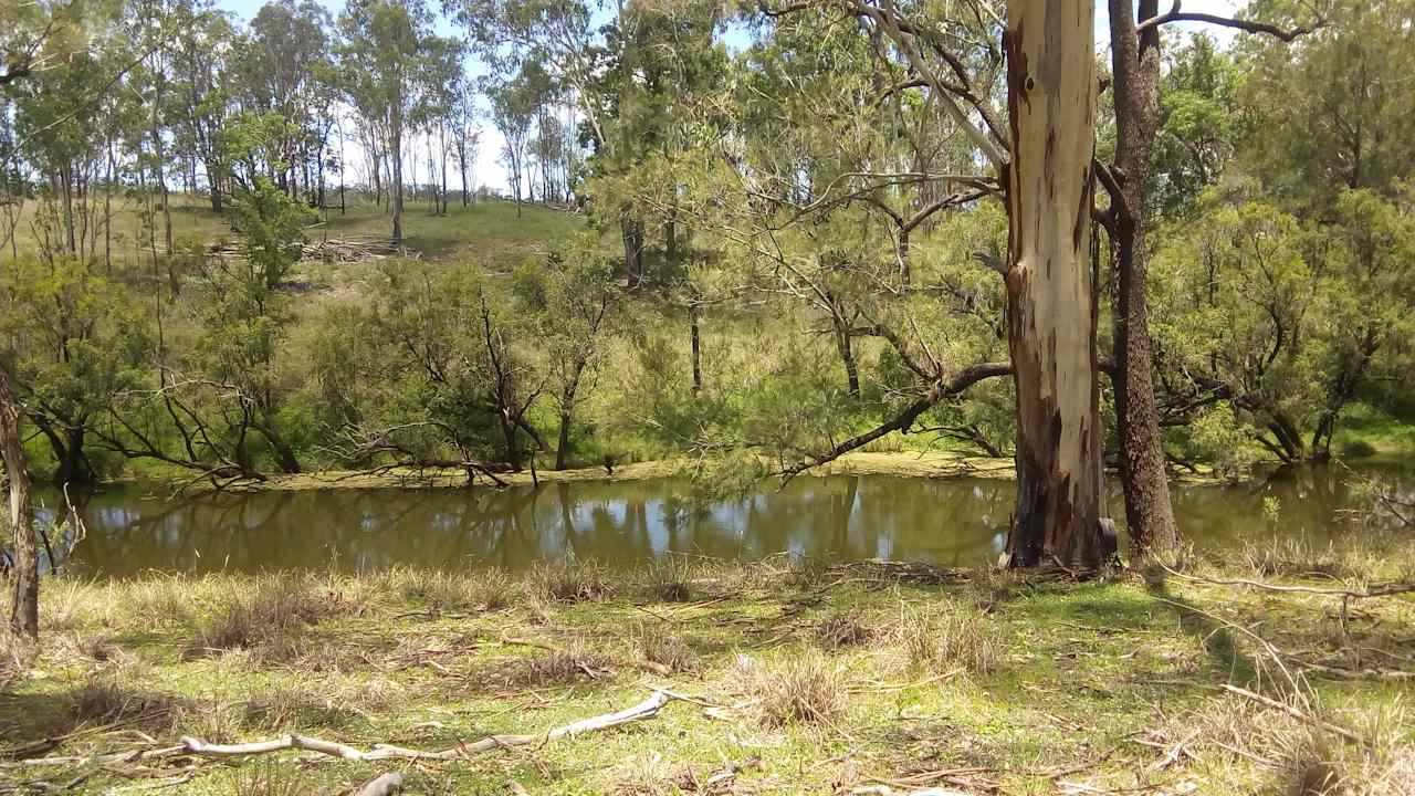 Barambah Beauty