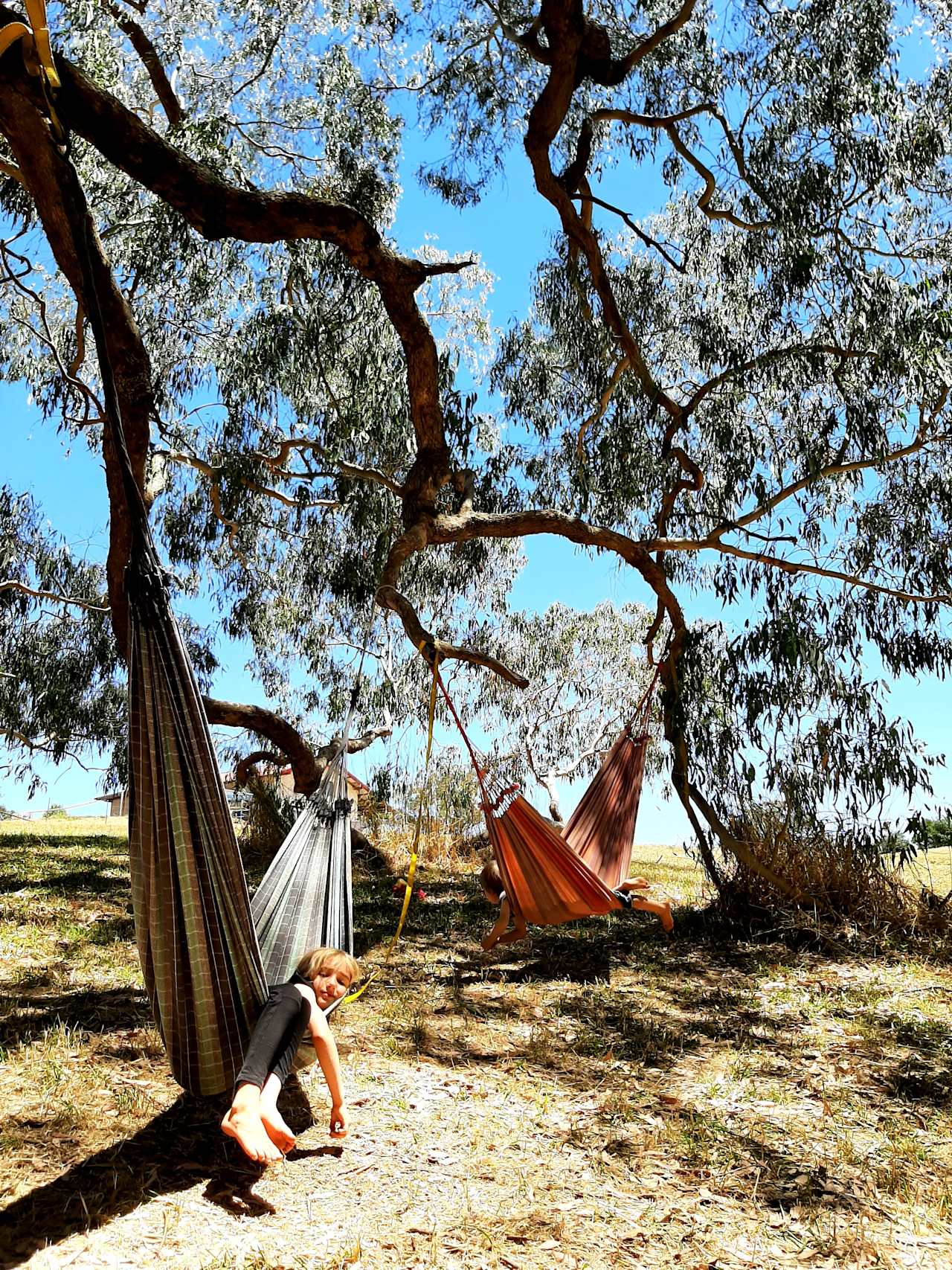 Time to relax... bring your hammock if you have one or two or three. The huge apple box tree provides a perfect spot to chill in the shade.