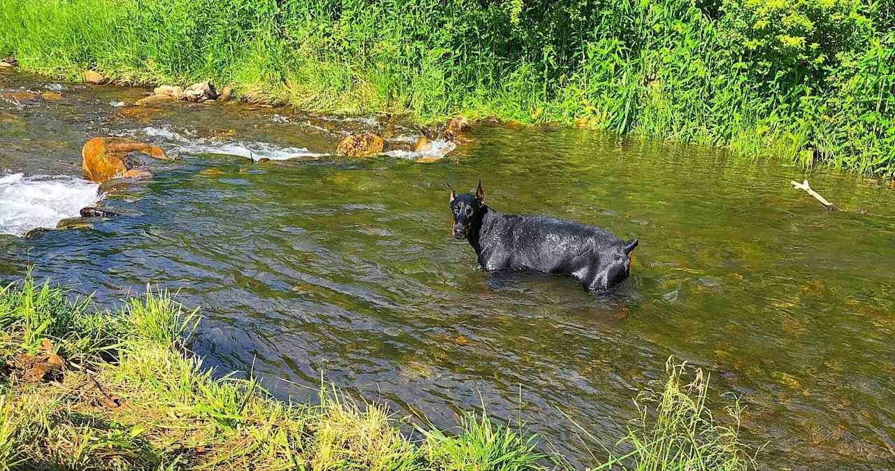 Stoney Creek Oasis Campground