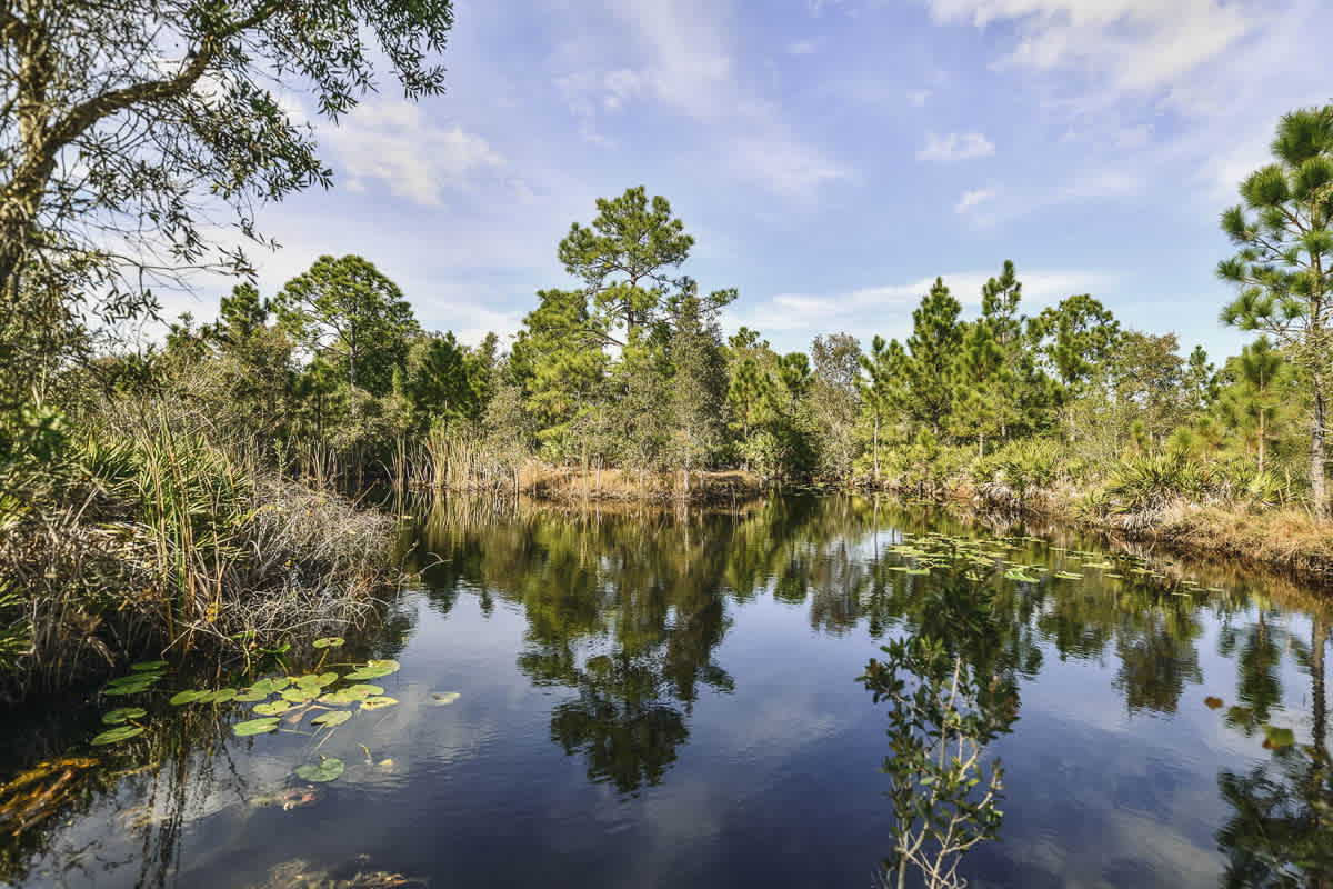 One of the stunning ponds