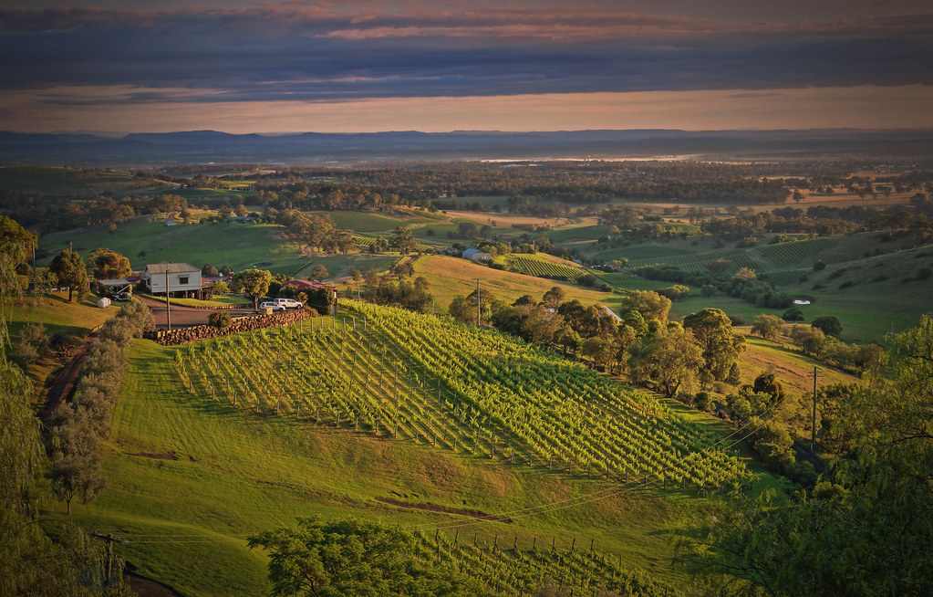 Hunter Valley wineries. Photo credit: "Hunter Valley winery" by Kevin Rheese is licensed with CC BY 2.0. To view license, creativecommons.org/licenses/by/2.0/