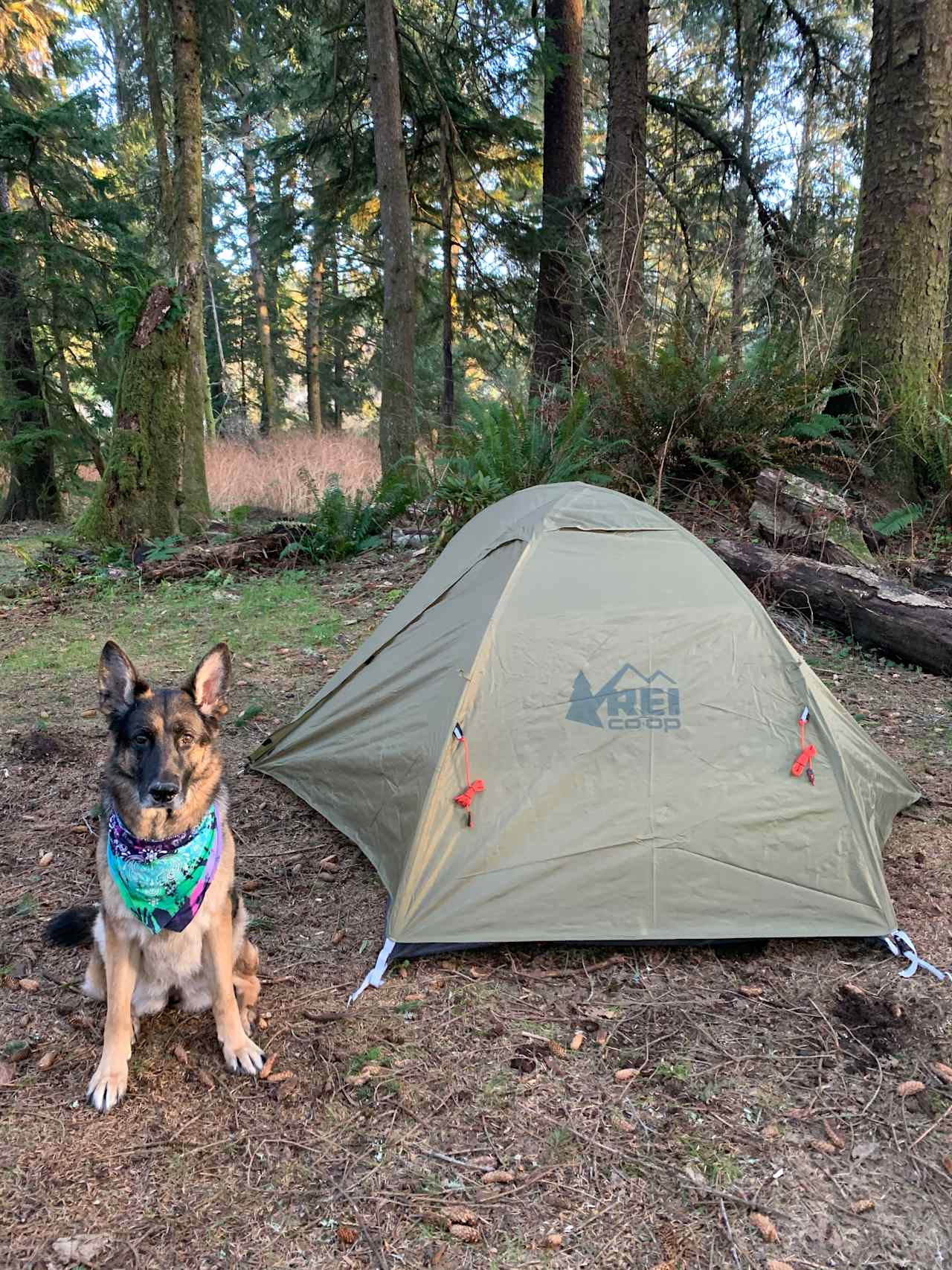 Lost Coast Adventure Camp