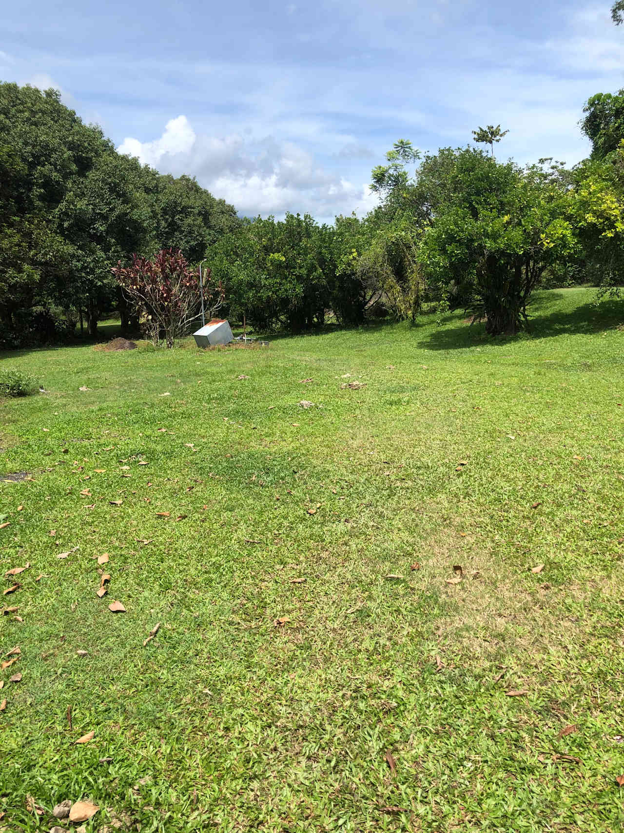 Pamona Park, nr Gordonvale