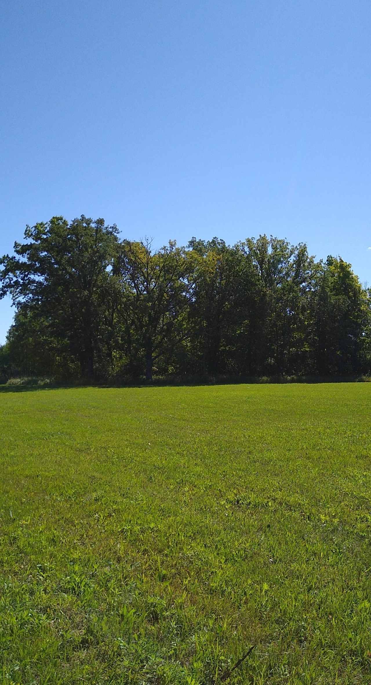 Ringler's Family Campground