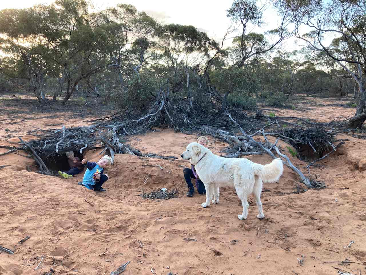 Building cubby houses in the scrub near the campsite.