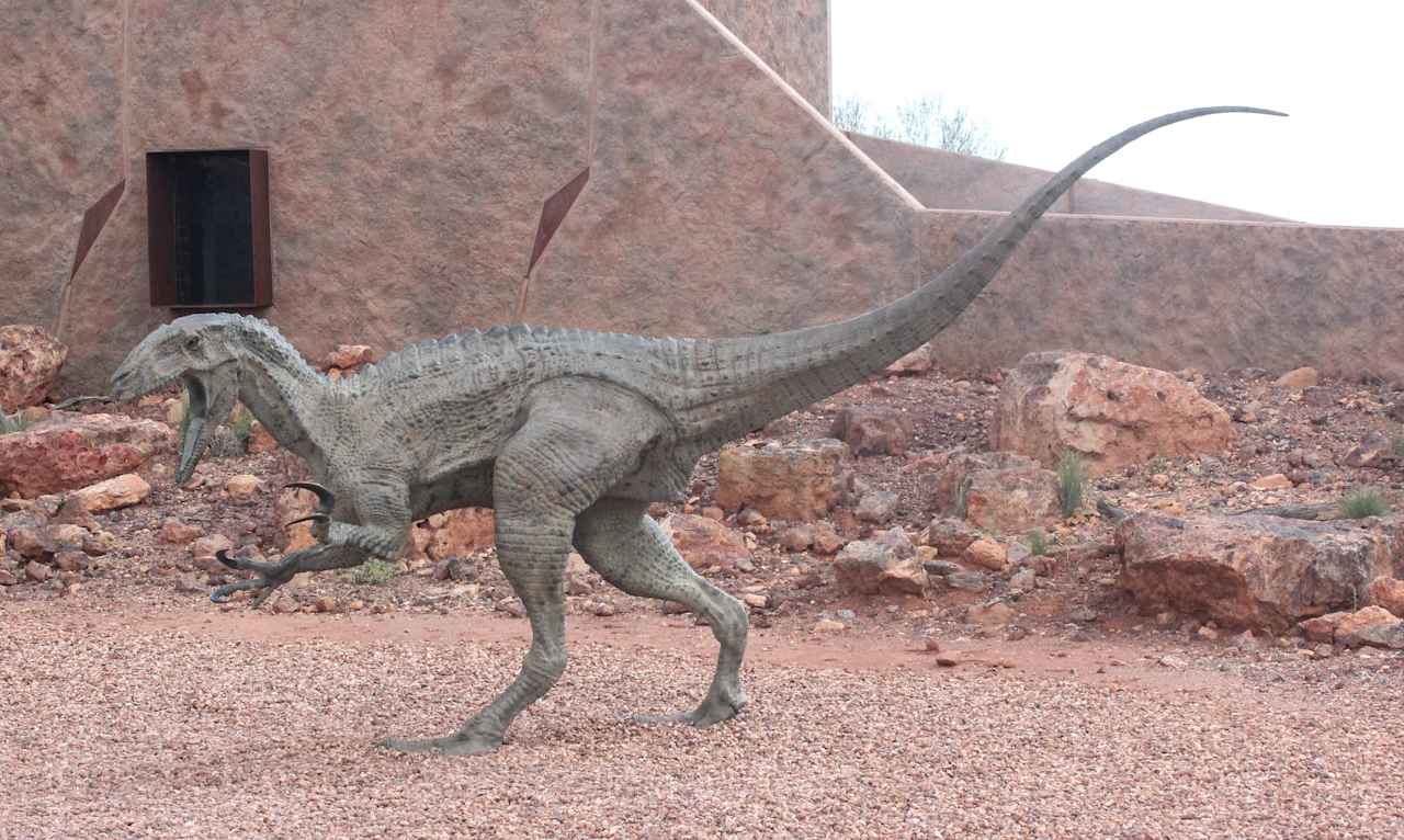 'Banjo' outside the Australian Age of Dinosaur Museum, Winton. Photo credit: "Australovenator wintonensis (Winton's Southern Hunter)" by Arthur Chapman is licensed with CC BY-NC-SA 2.0. To view license, visit https://creativecommons.org/licenses/by-nc-sa/2. 