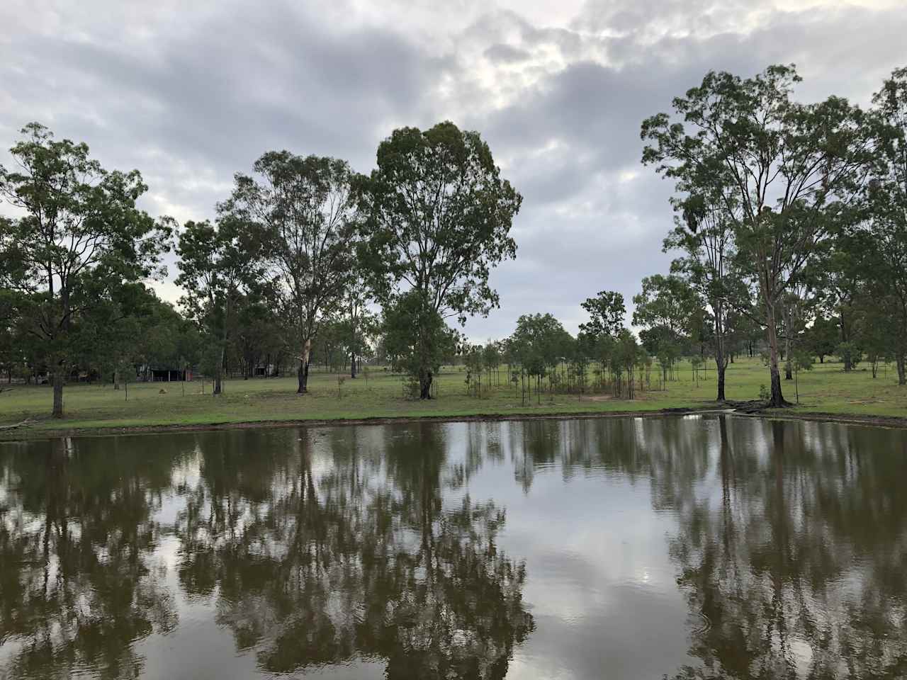 Our big front dam! In a sunny spot for those who like to take a dip any time of the day of the year!