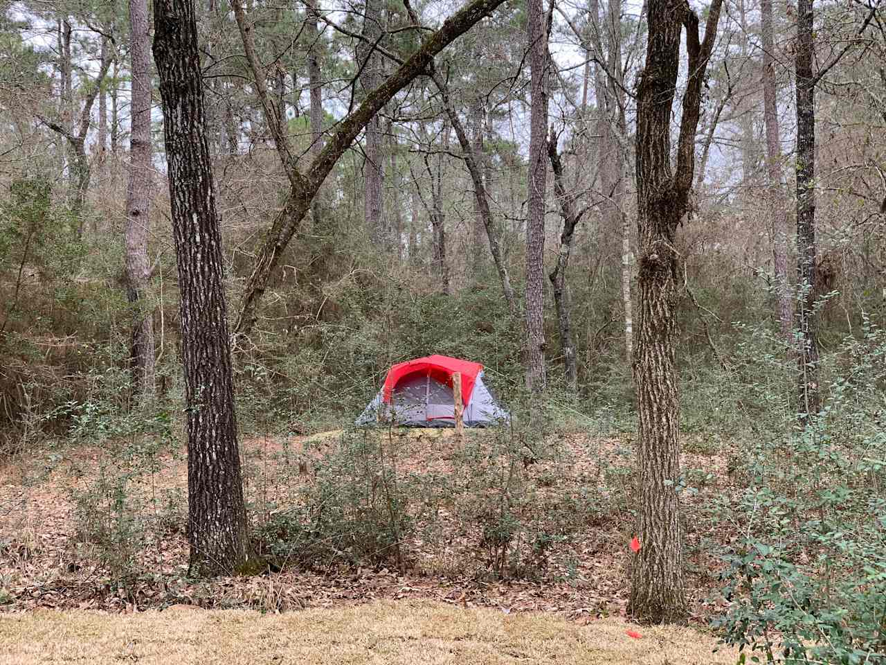 Nestled in native Texas woods, our tent sites allow you to disconnect and return to nature.