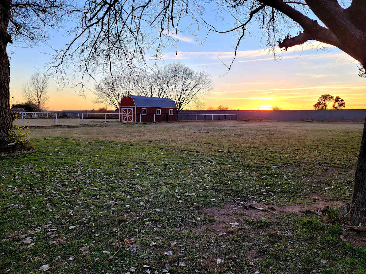 Suburban Pasture