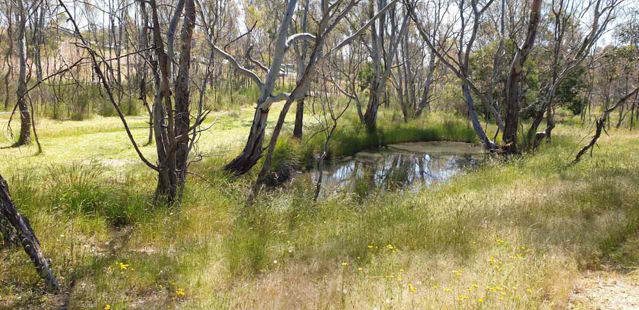 Heathcote Bushcamp