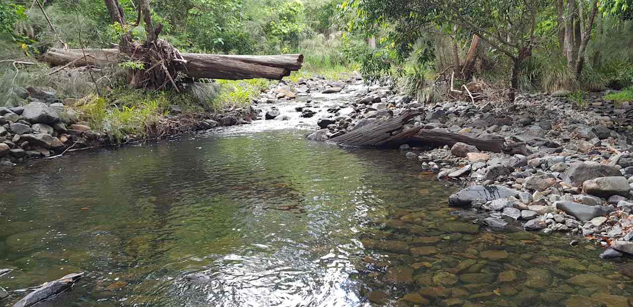 Private Rainforest Creek Camp