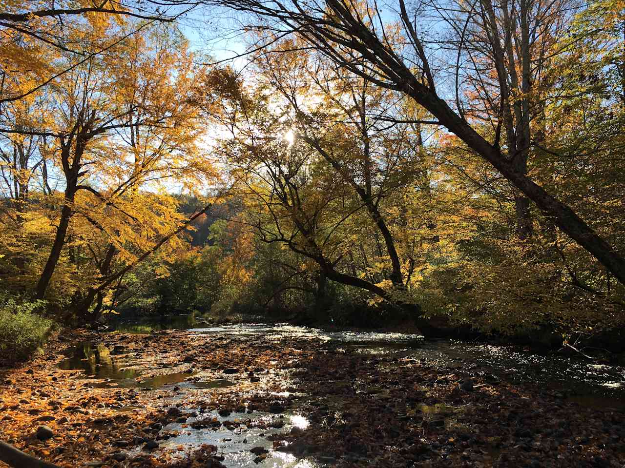 Camping along the Dyberry Creek