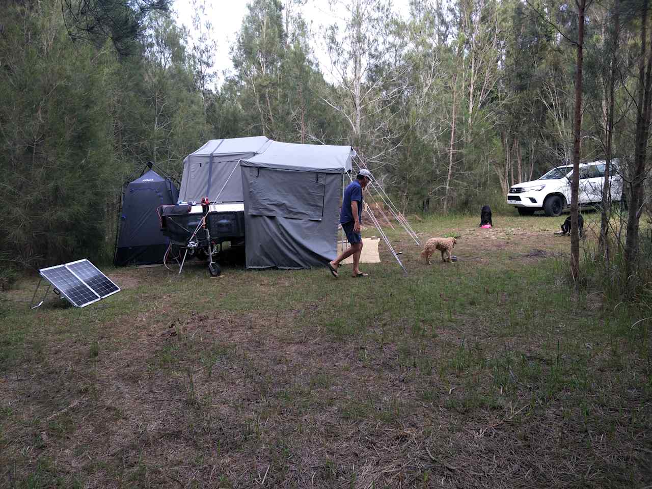 Bingi Campsite