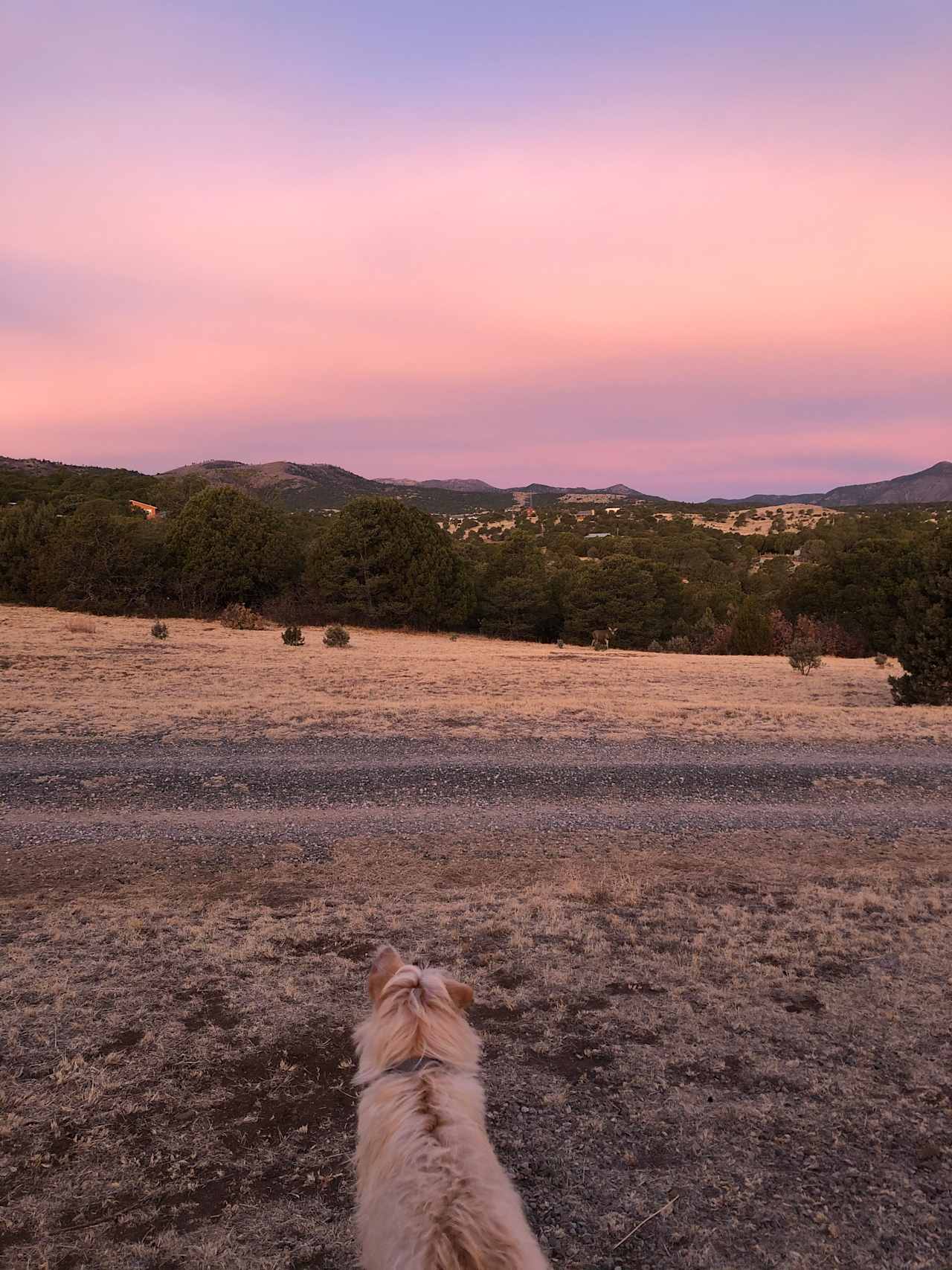 Sunrise view from campsite