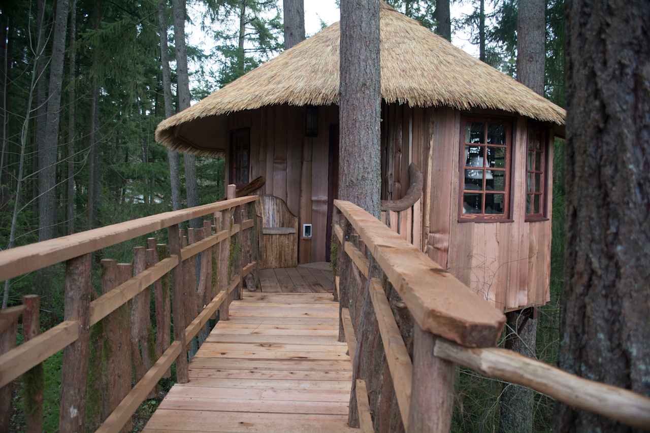 Treehouse - Africa in Auburn