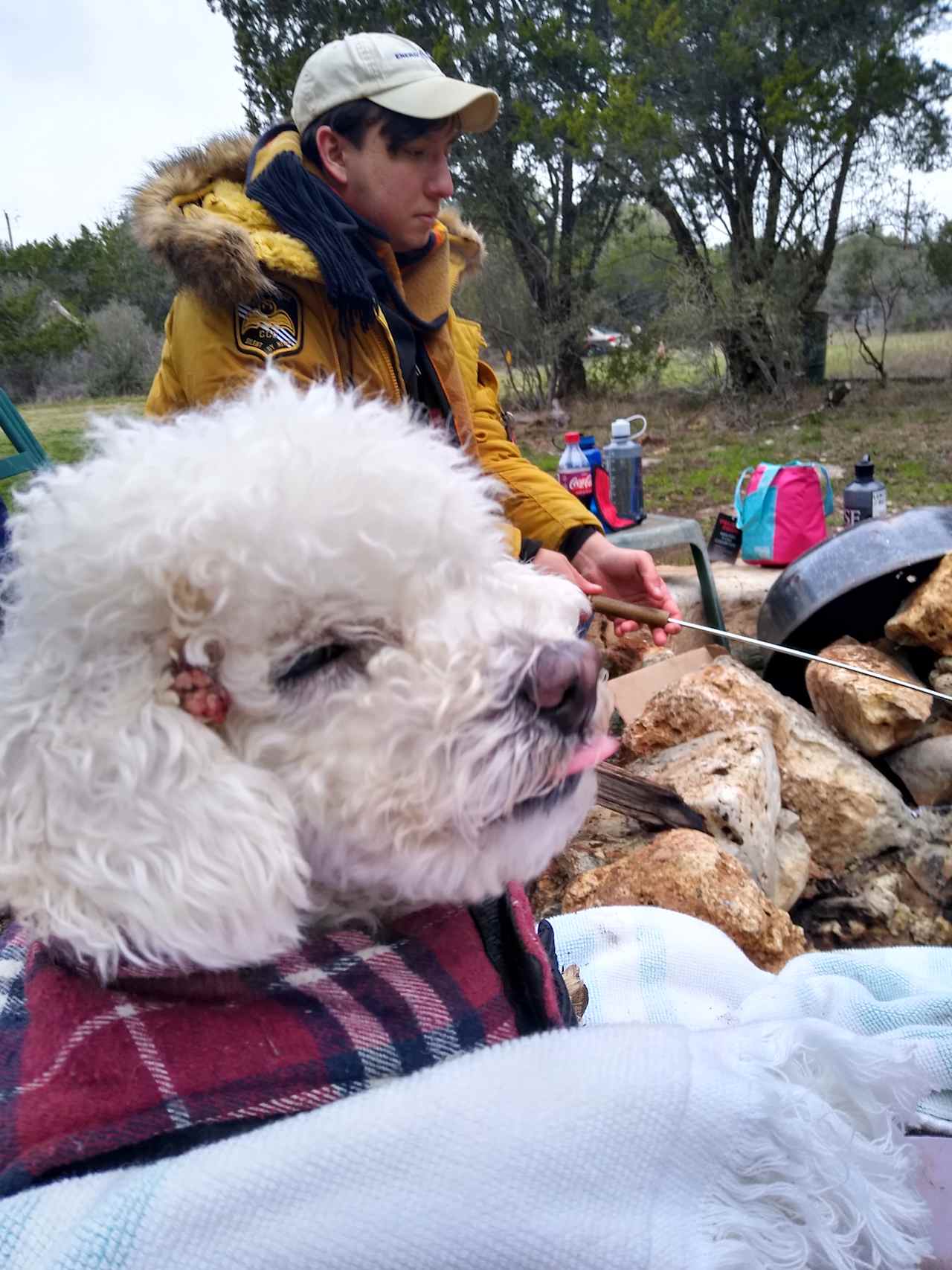 Lil dog thinks weenies over the fire are for him