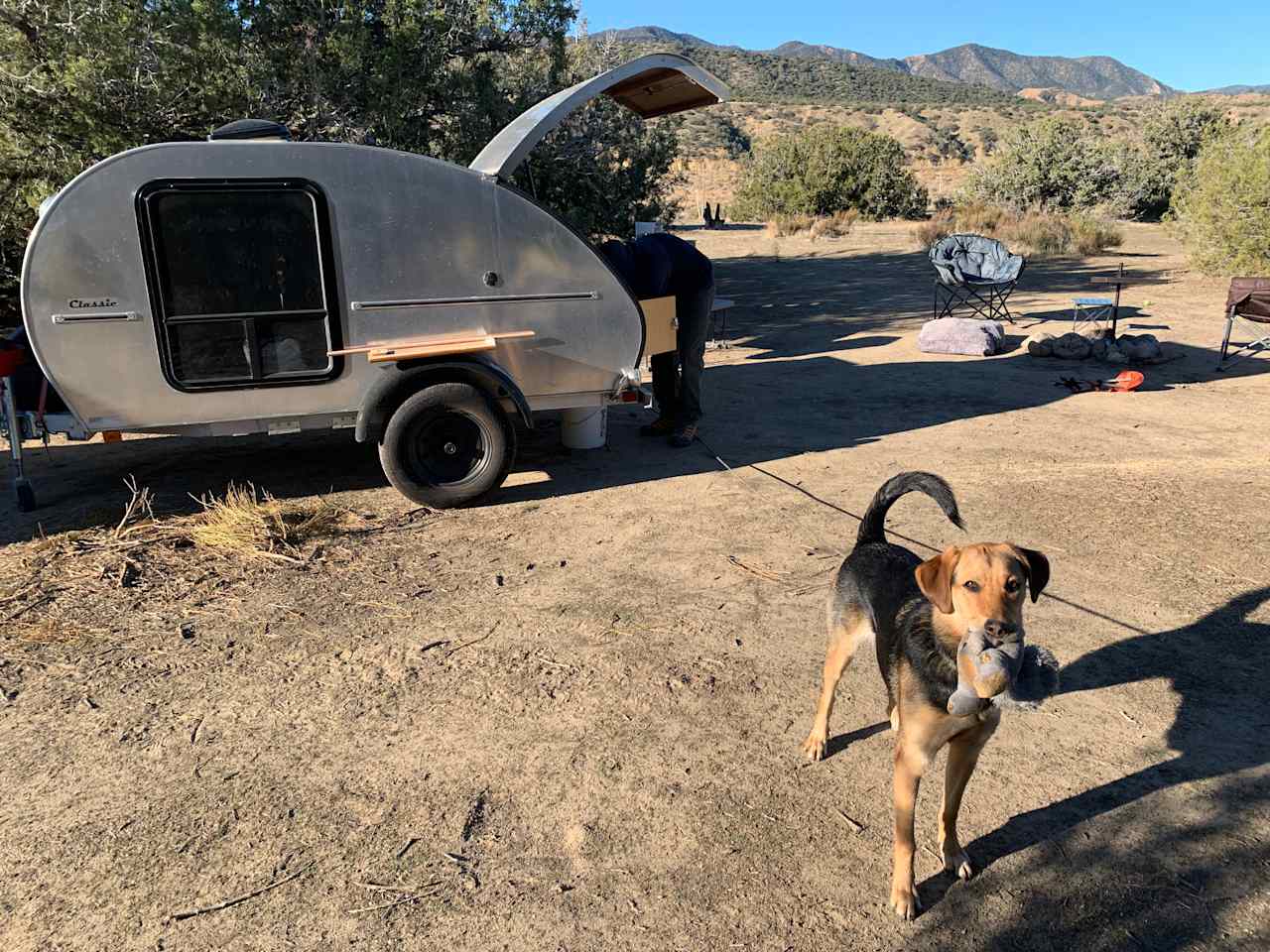 huge campsite, plenty of room for roaming - level ground for our teardrop too. 