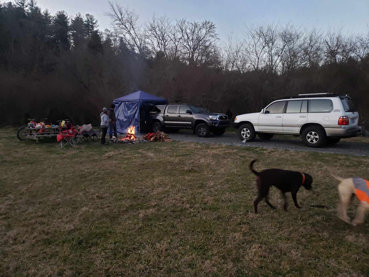 Pisgah Forest Mountain Meadows