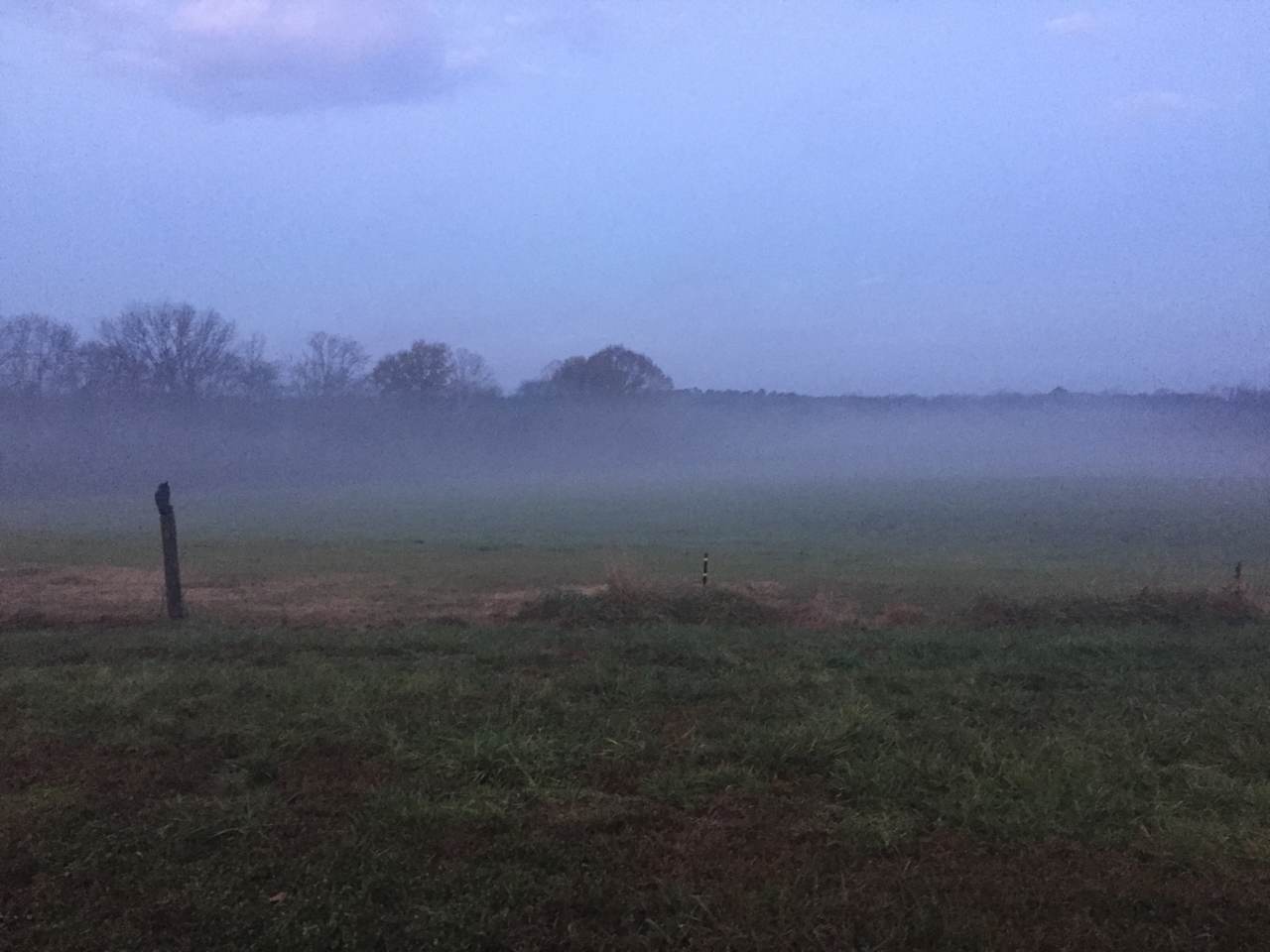 Open large grass fields near pond